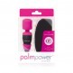 Palmpower Pocket AV vibrator